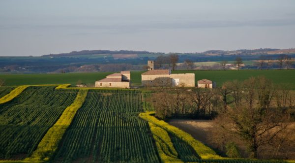 Au Pays de l’Ail Blanc Saint-Clar 55 km