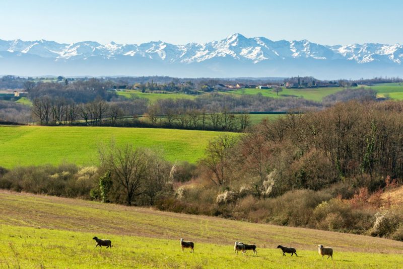 Vues sur Mauvezin