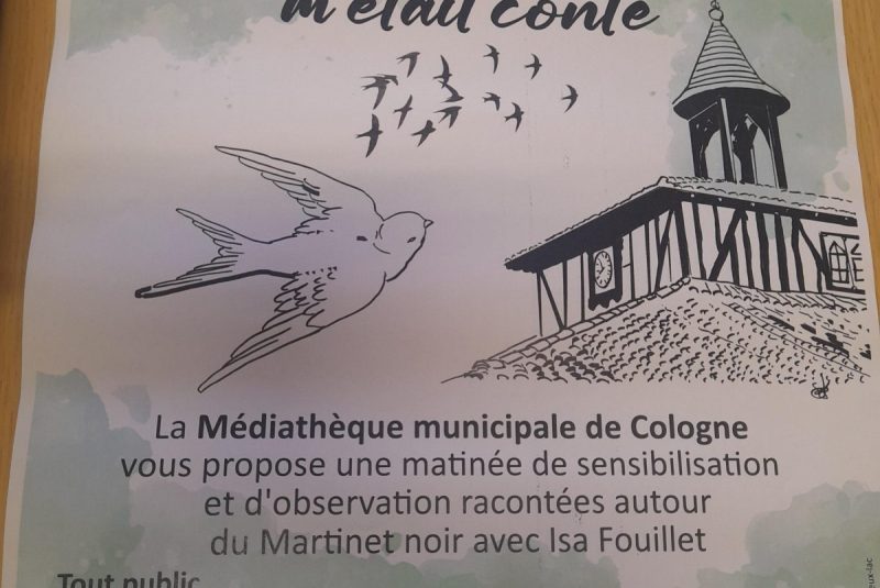 Et si le martinet noir m’était conté_Cologne