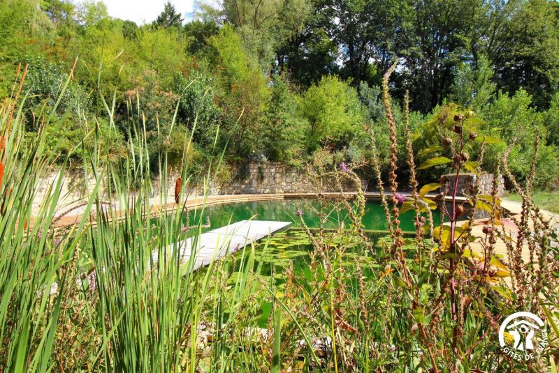 Le Gîte de Fallot_L’Isle-Bouzon