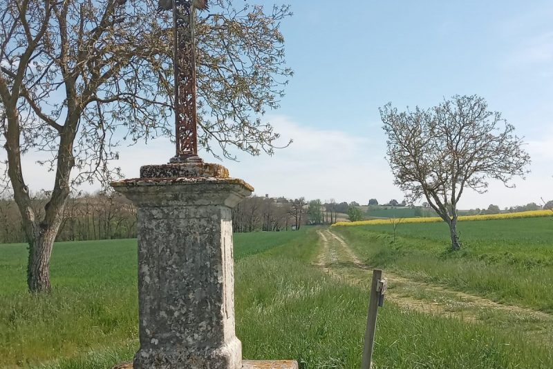 Sur le chemin de Notre Dame de Tudet_Tournecoupe