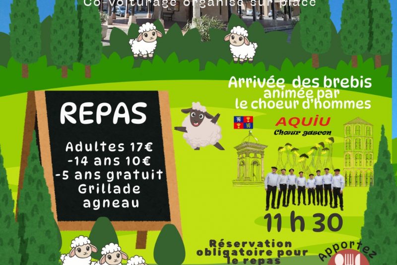Fête de la transhumance_Cologne