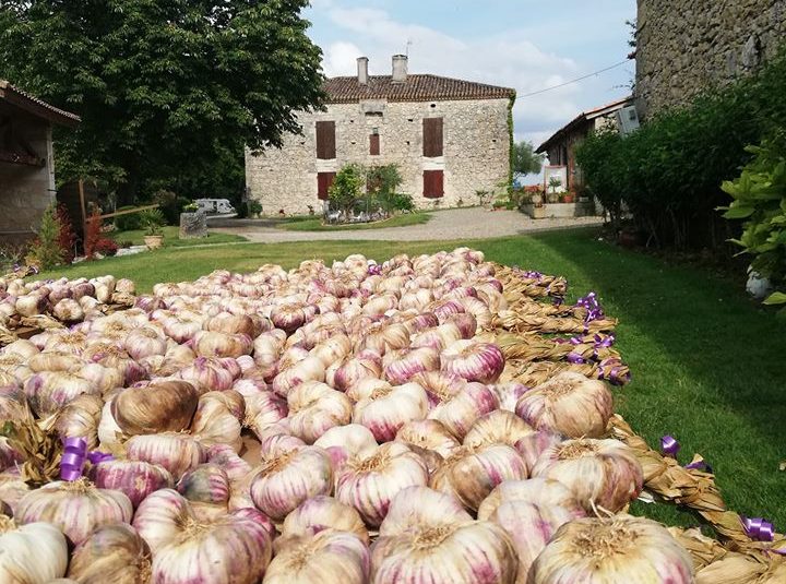 La Maison de l’ail_Saint-Clar