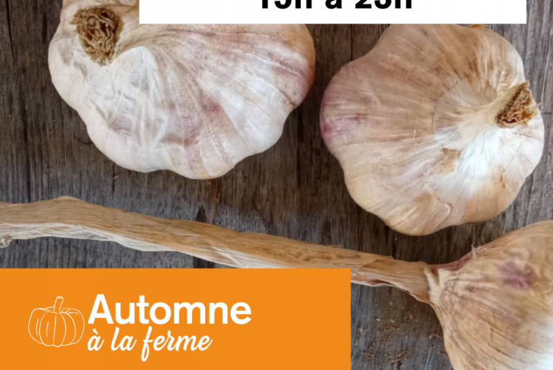 Automne à la ferme : portes ouvertes à En Massion_Mauvezin