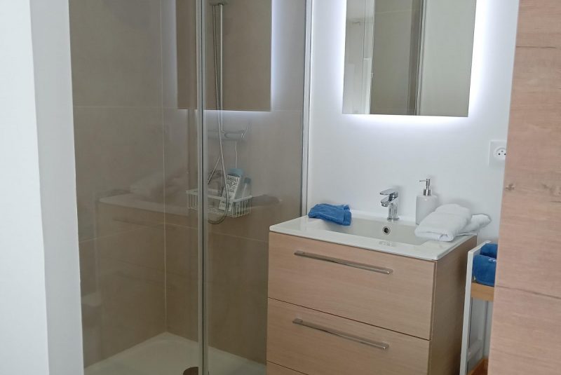 Les hirondelles_Saint-Orens