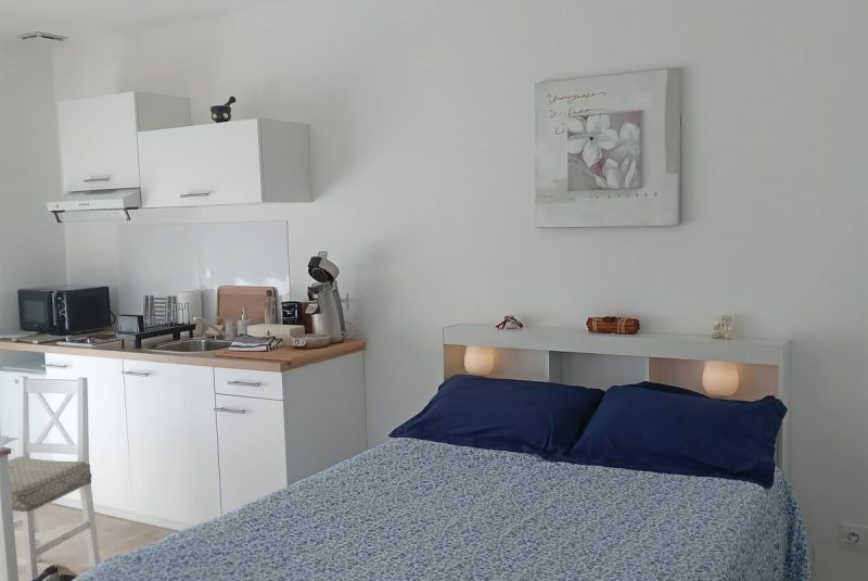 Les hirondelles_Saint-Orens