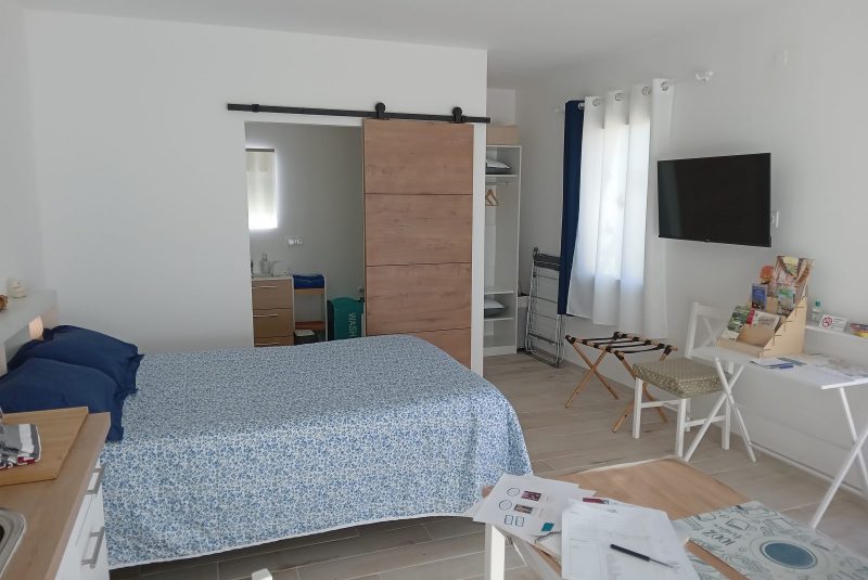 Les hirondelles_Saint-Orens