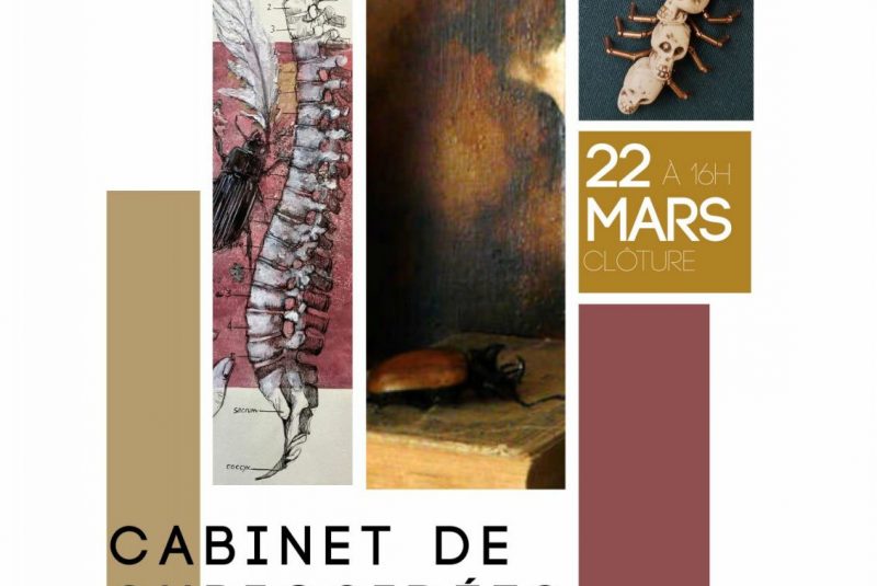 Cabinet de Curiosidées – Acte 1_Saint-Léonard