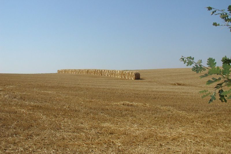 Office de Tourisme Bastides de Lomagne