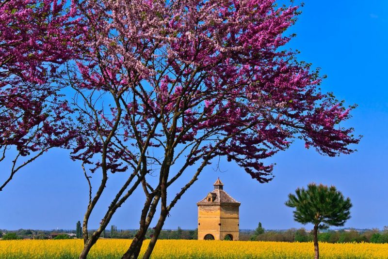 Office de Tourisme Bastides de Lomagne